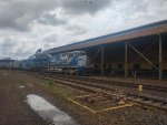RUMO 698